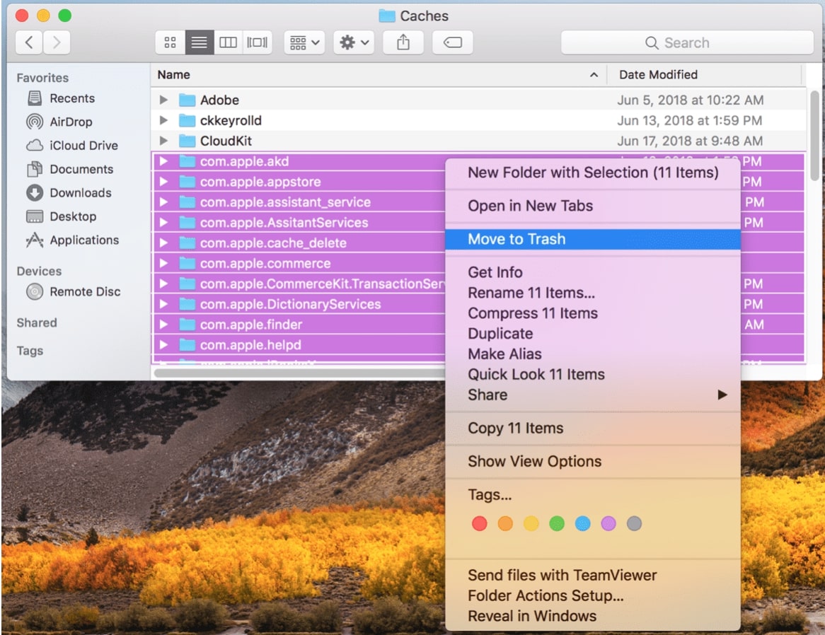 wiztree for mac shows temp files